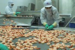 Sản lượng tôm xuất sang Mỹ có thể giảm tới 40%