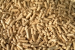 Compressed wood