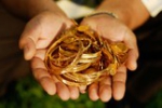 Giá vàng quay đầu sụt giảm