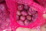 
                                            Hành Ấn Độ gắn mác hành Việt bán giá gấp ba                                        