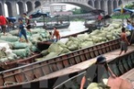 Thương lái nước ngoài mua bán ở biên giới cũng phải nộp thuế