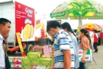 Căn cứ địa cuối cùng cho hàng Việt