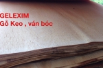 Gỗ Ván Bóc