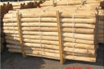 Lumber